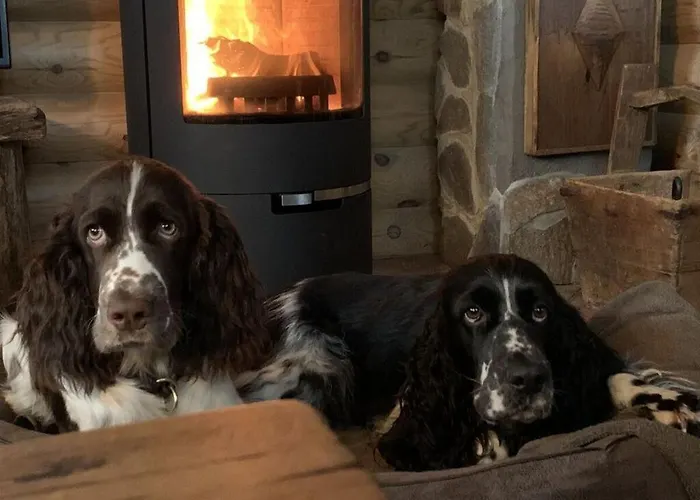 Apartamento Placzek Schierke