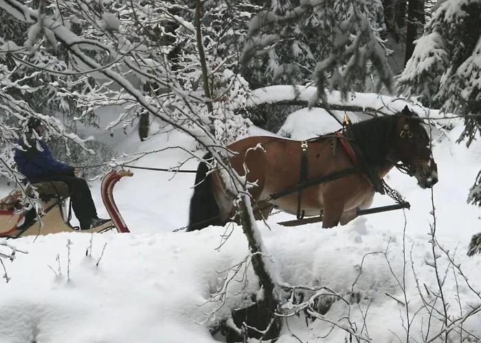 Placzek Apartamento Schierke