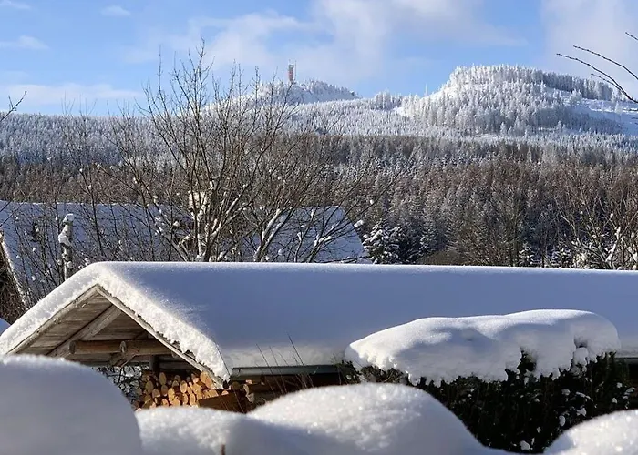 Placzek Apartamento *