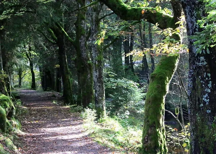 Placzek Apartamento *